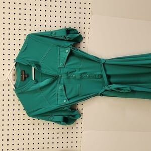 𝅺FENN Wright Manson dress women's size 6 lovely green shirt style dress EUC